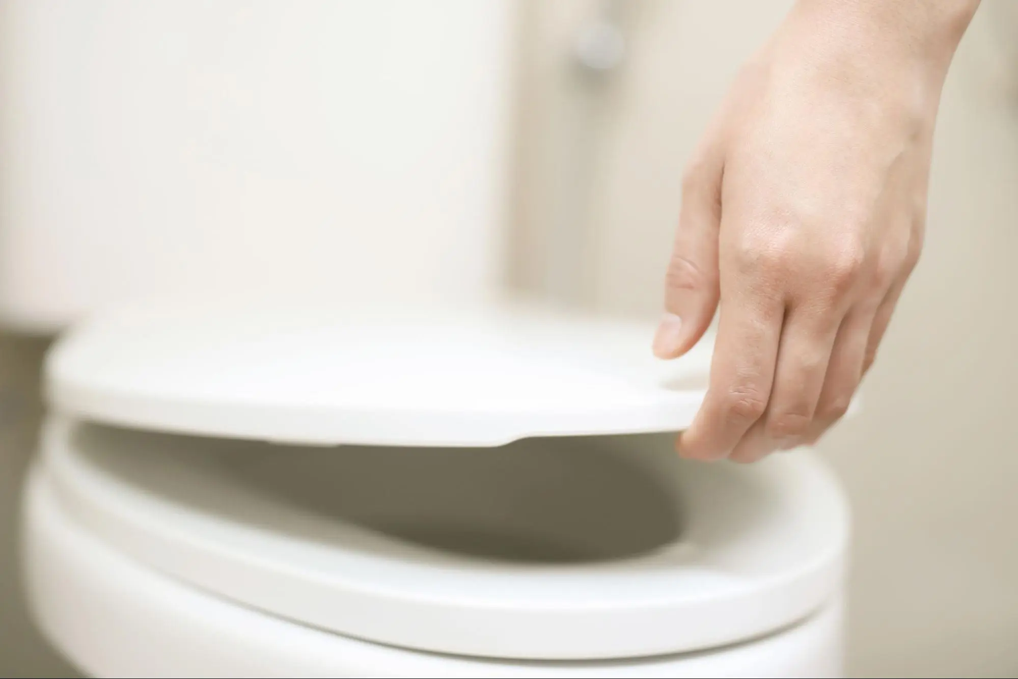 ฝารองนั่งชักโครก การดูแล