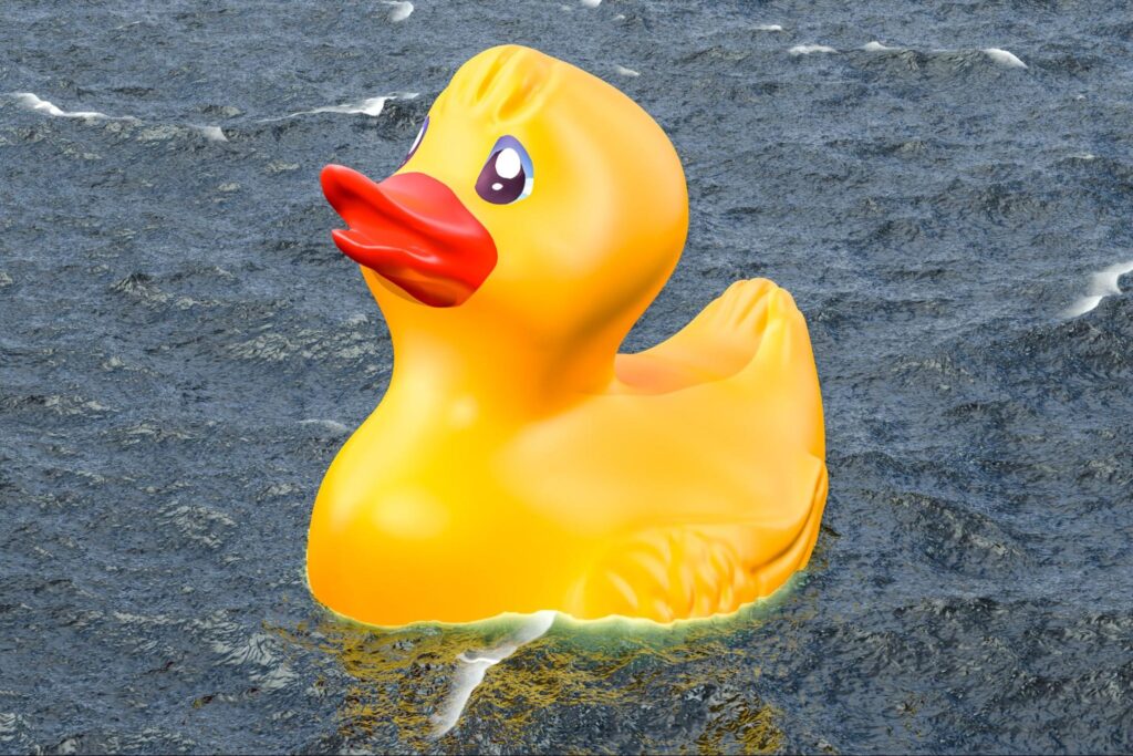 4 มุมมองการทำงานของมนุษย์เป็ด