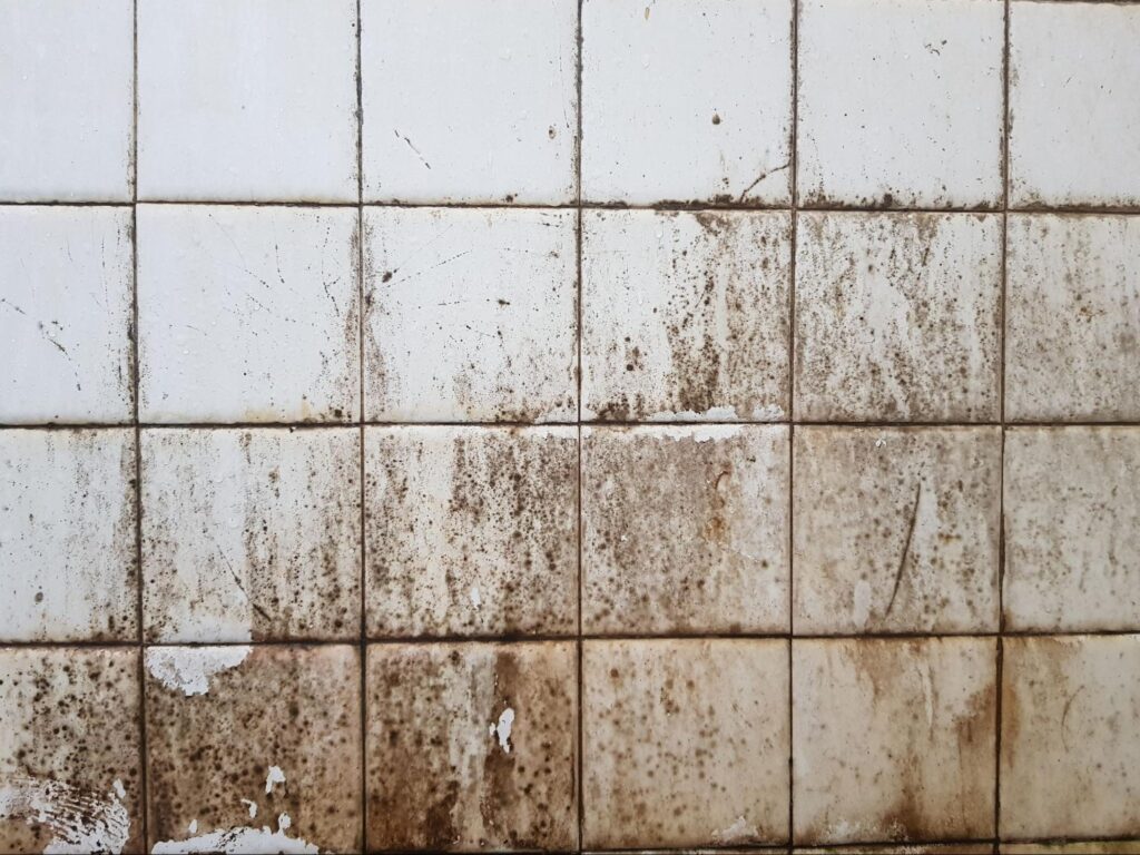 วิธีขจัดคราบฝังลึกกระเบื้อง